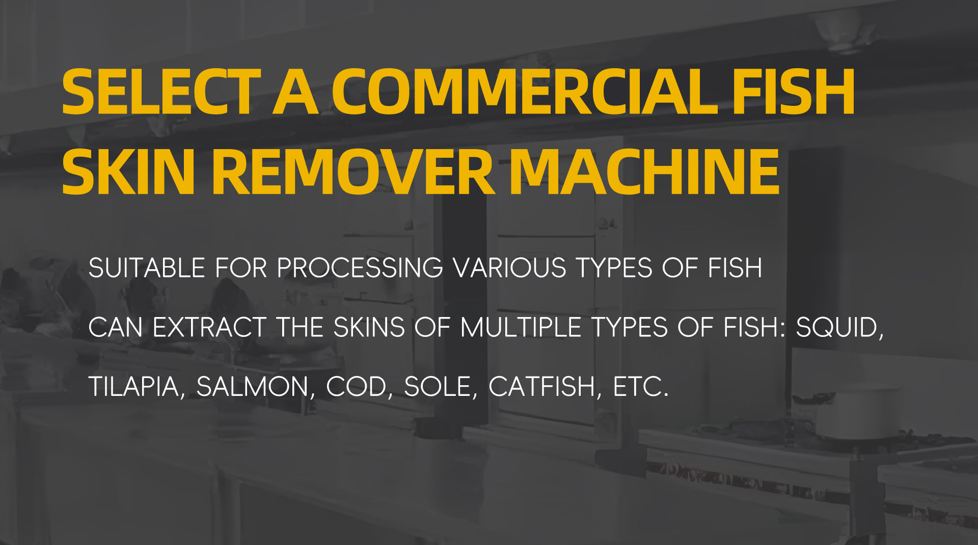 商用鱼肉去皮机英文_06