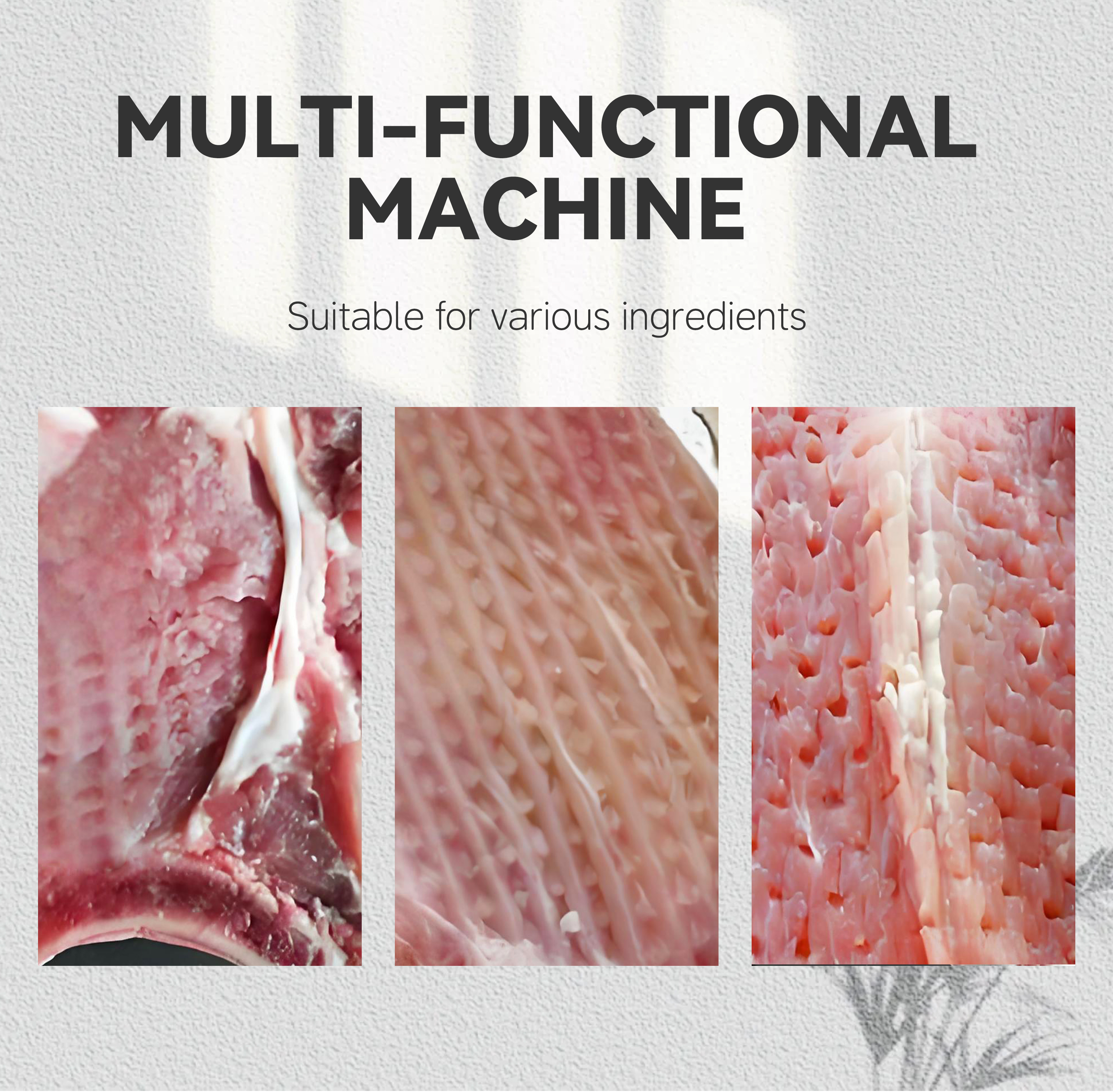 10小型嫩肉断筋机英文_006